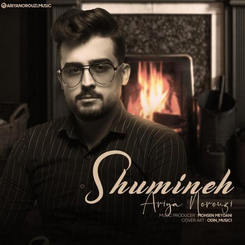 آریا نوروزی شومینه